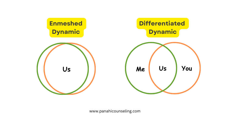 Enmeshedment-and-Differentiation